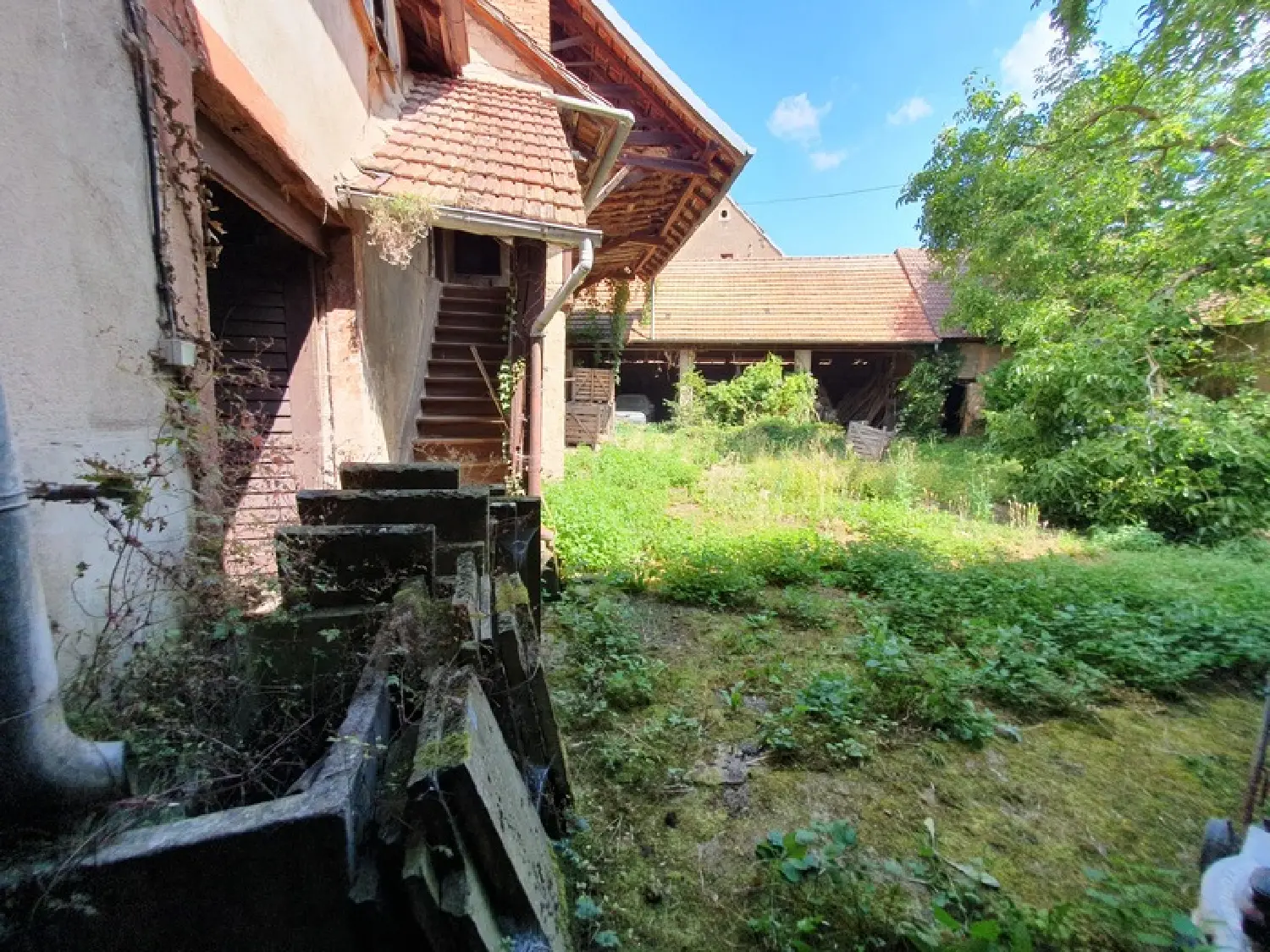  kaufen Haus Wangen Bas-Rhin 2