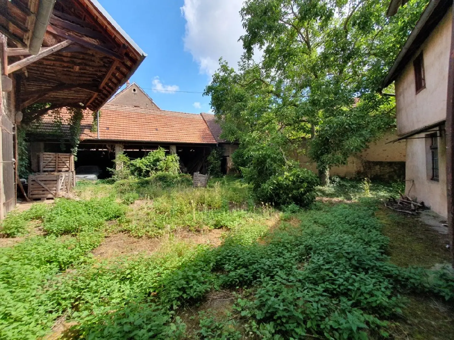  kaufen Haus Wangen Bas-Rhin 3