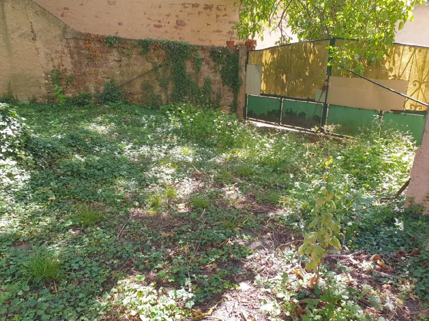  kaufen Haus Wangen Bas-Rhin 5