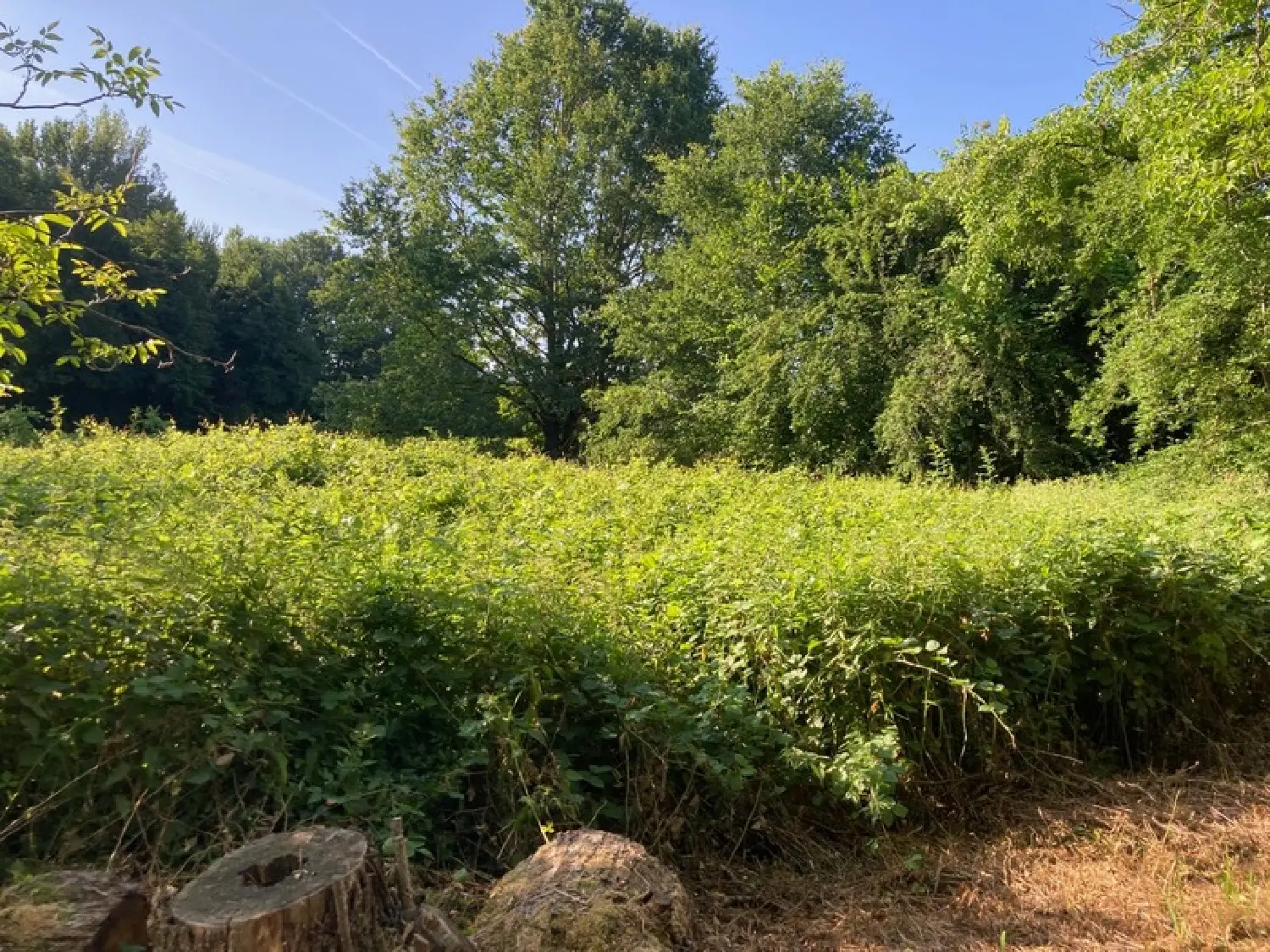  à vendre maison bourgeoise Pradines Lot 5