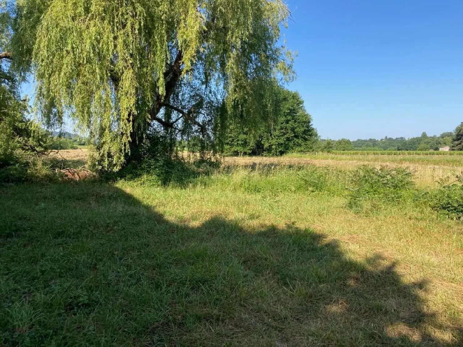  à vendre maison bourgeoise Pradines Lot 6