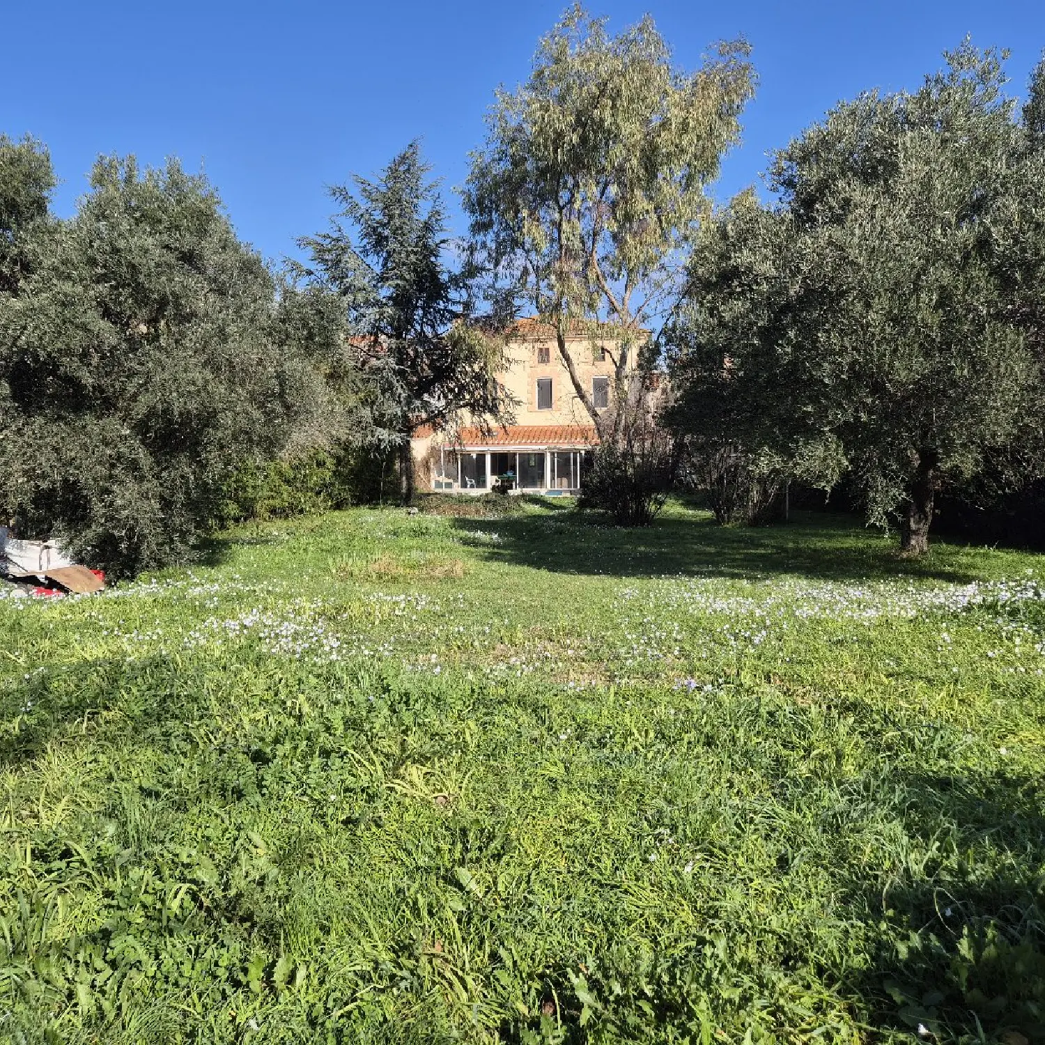  for sale mansion Saint-Jean-Lasseille Pyrénées-Orientales 2
