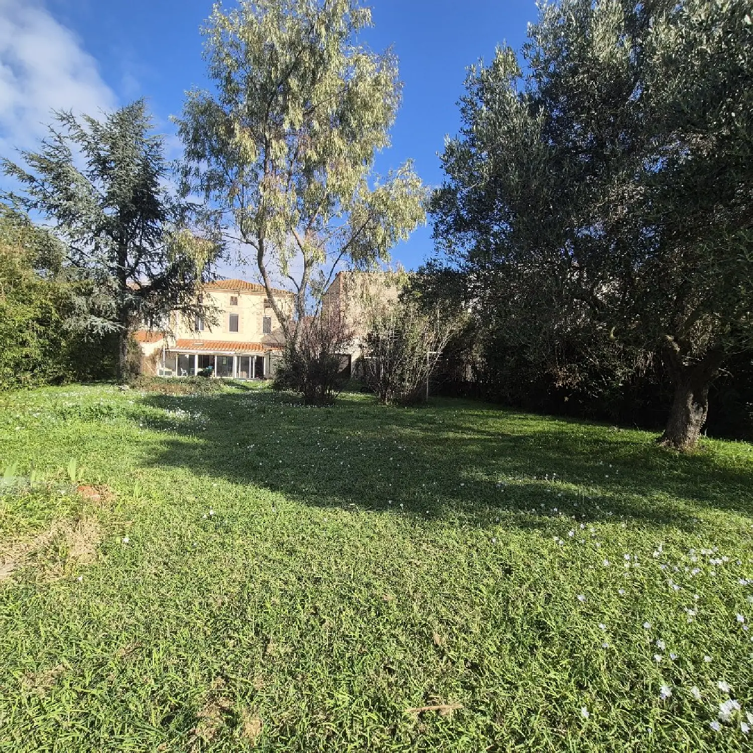  for sale mansion Saint-Jean-Lasseille Pyrénées-Orientales 8