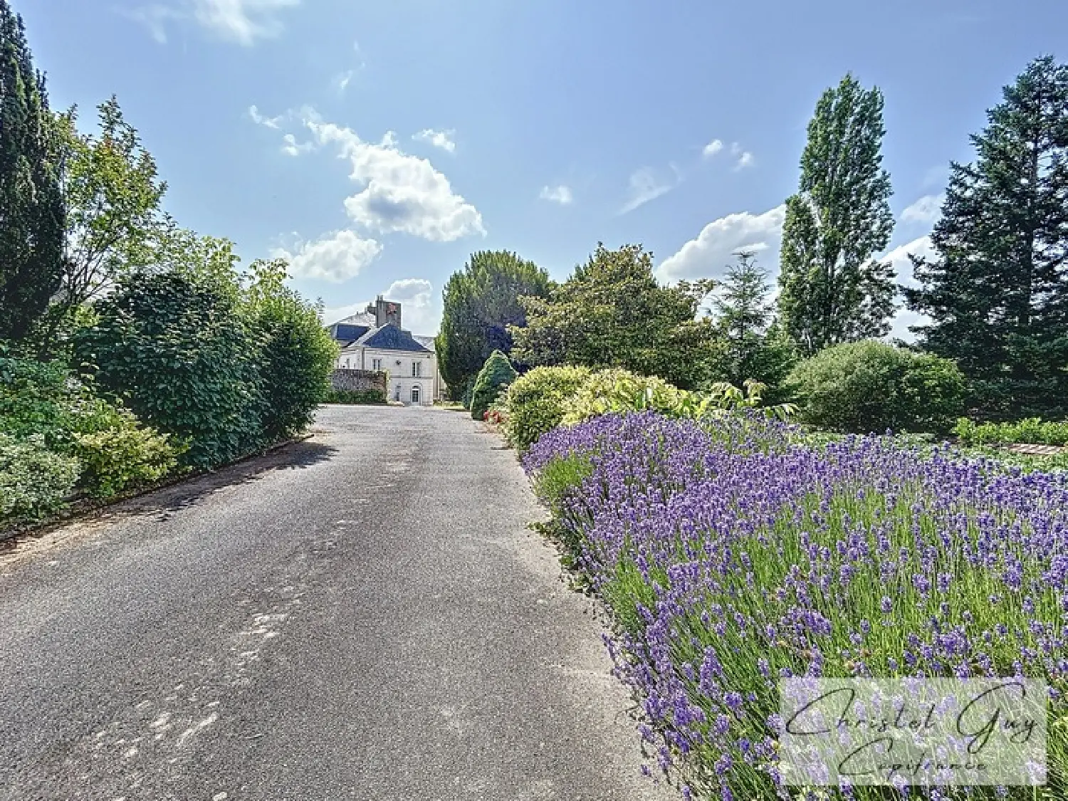  for sale mansion Thoiré-sur-Dinan Sarthe 1