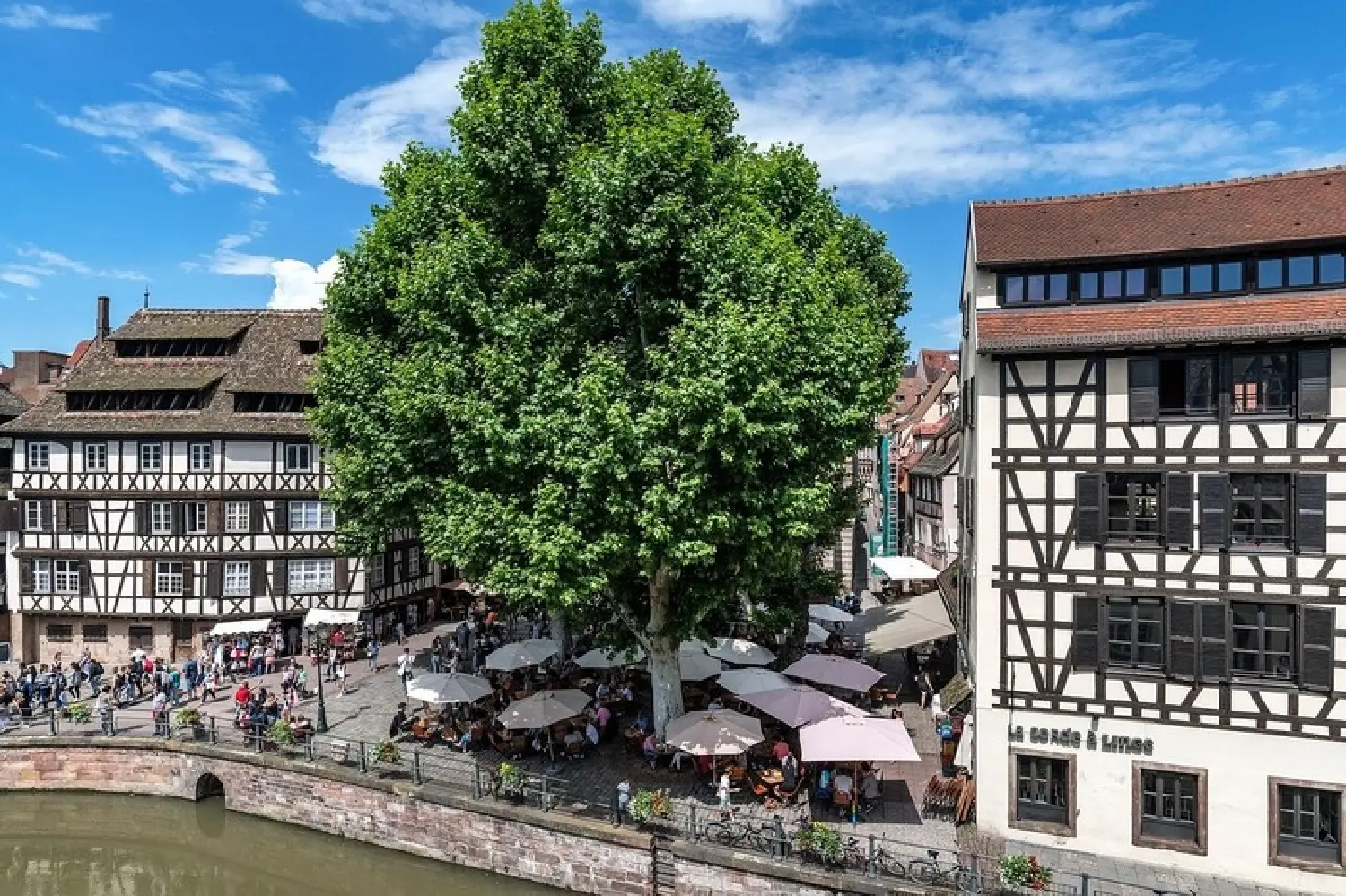  à vendre restaurant Strasbourg Bas-Rhin 8
