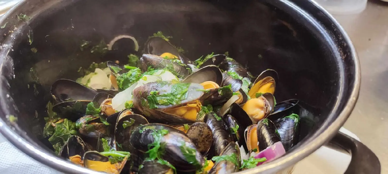  en venta restaurante Tréffiagat Finistère 3