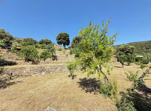 Alata Corse-du-Sud terrain foto 7107295
