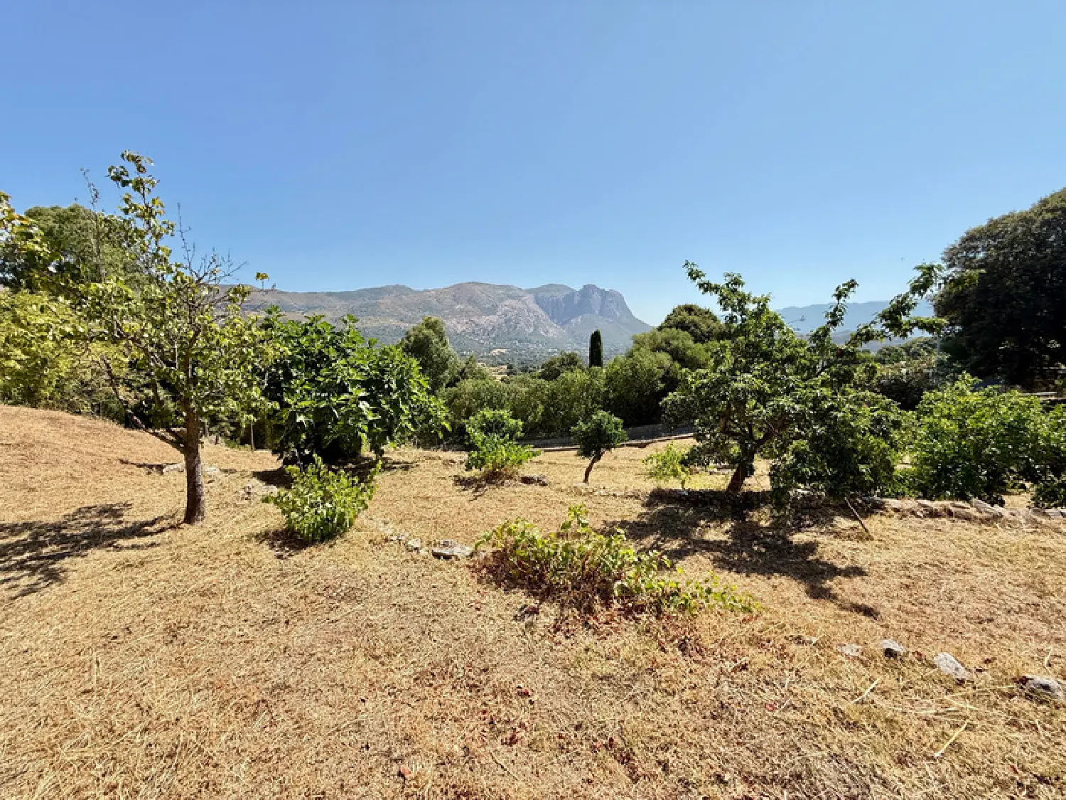  for sale terrain Alata Corse-du-Sud 2