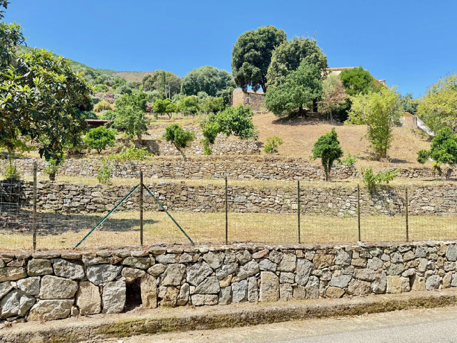  for sale terrain Alata Corse-du-Sud 4