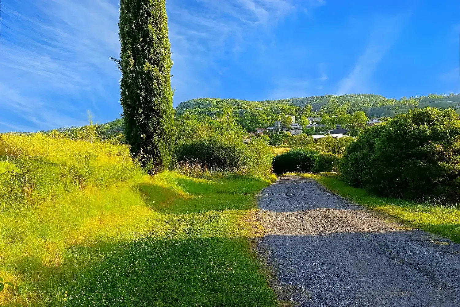  en venta terreno Albi Tarn 1