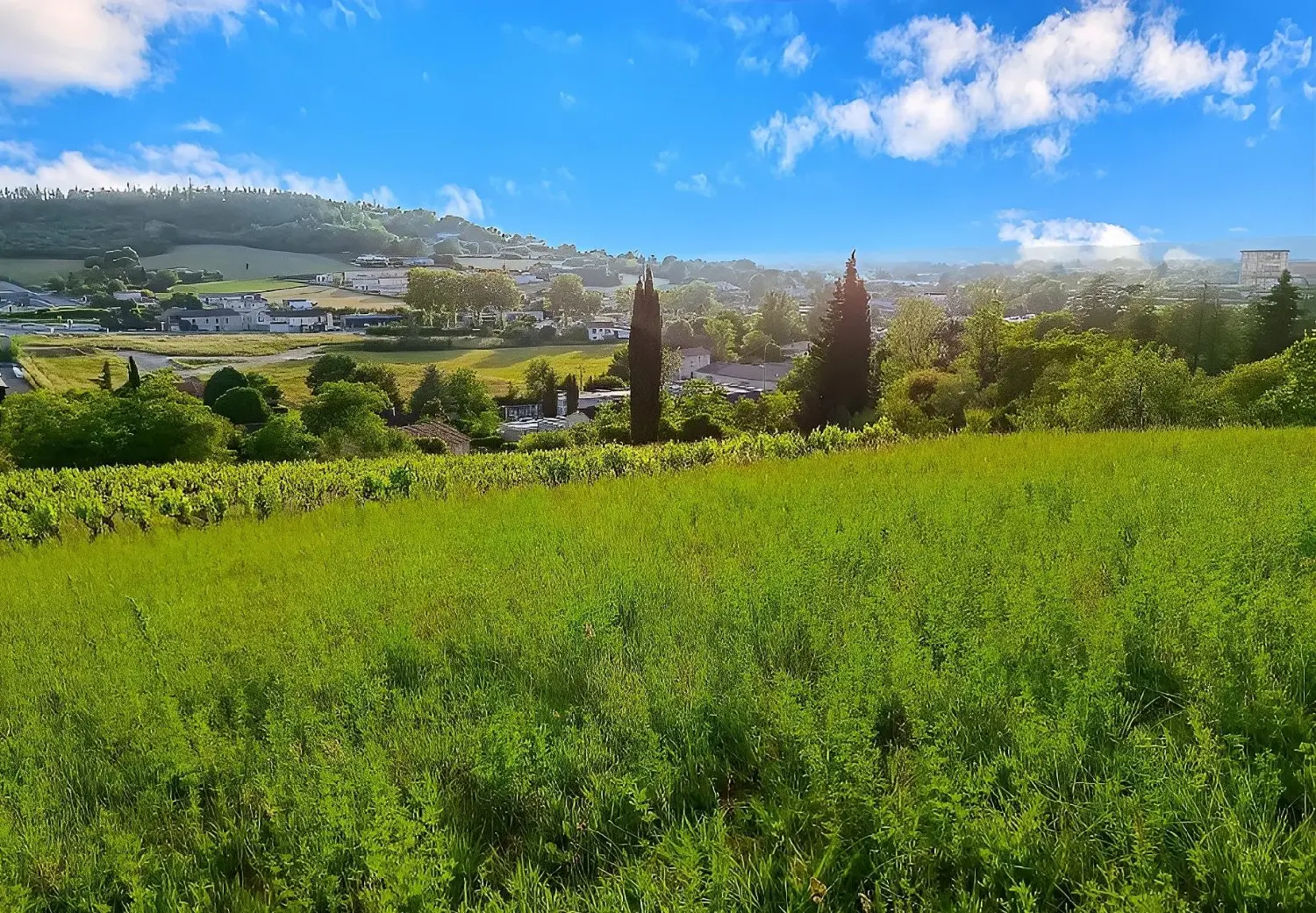  en venta terreno Albi Tarn 2