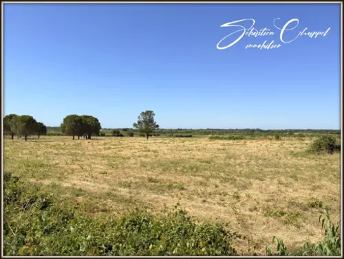 Alignan-du-Vent Hérault terreno foto 7112573