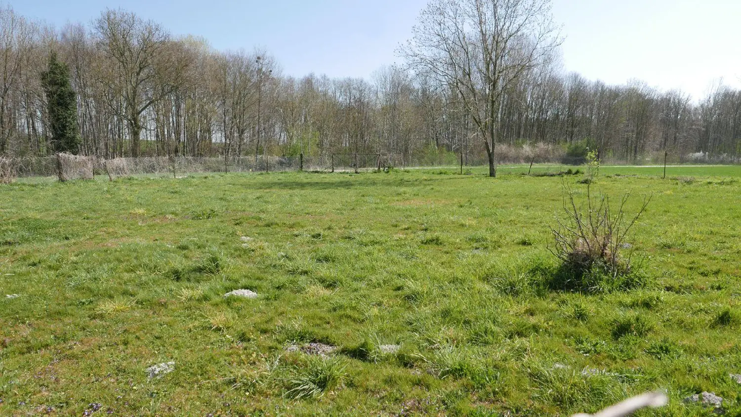  for sale terrain Alincourt Ardennes 1