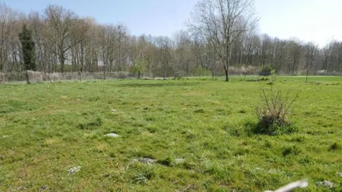 Alincourt Ardennes terrain foto 7104964