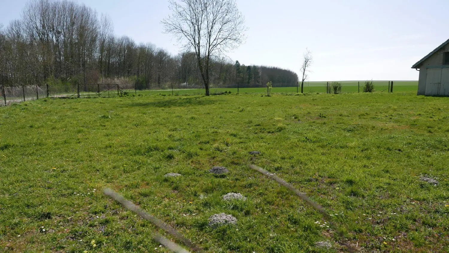  for sale terrain Alincourt Ardennes 2