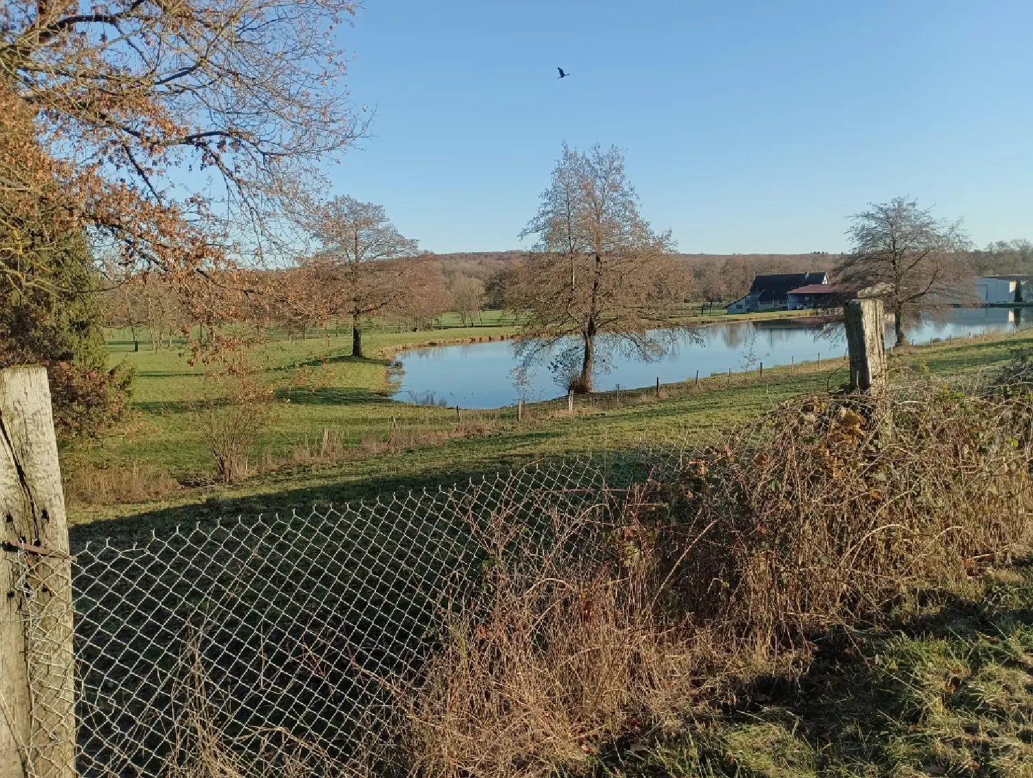  for sale terrain Angeot Territoire de Belfort 3