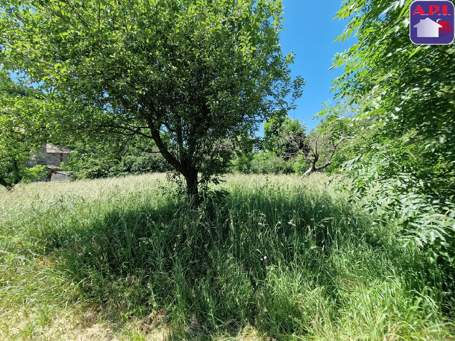  en venta terreno Arnave Ariège 4