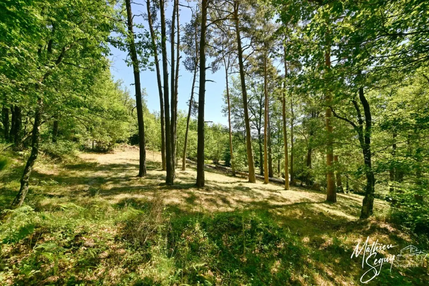  kaufen Grundstück Aveize Rhône 4