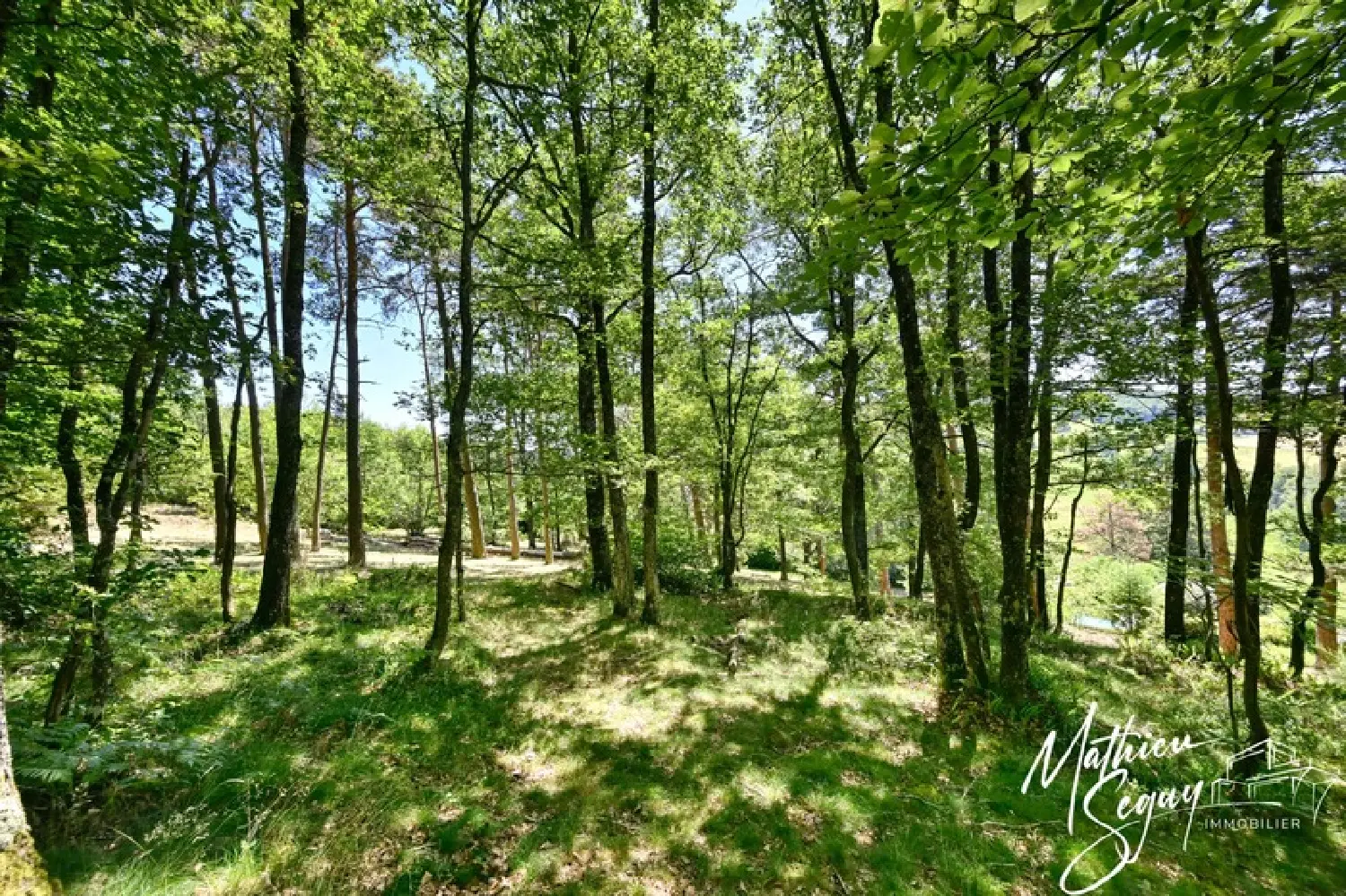  kaufen Grundstück Aveize Rhône 5