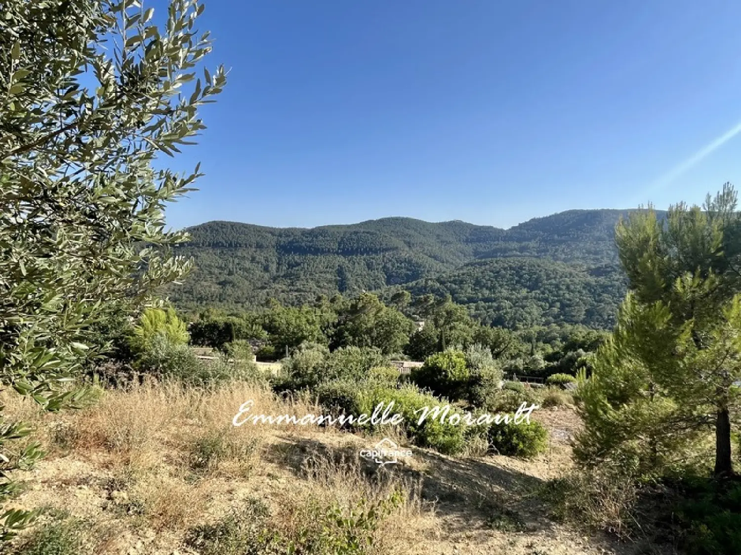  en venta terreno Bagnols-en-Forêt Var 3