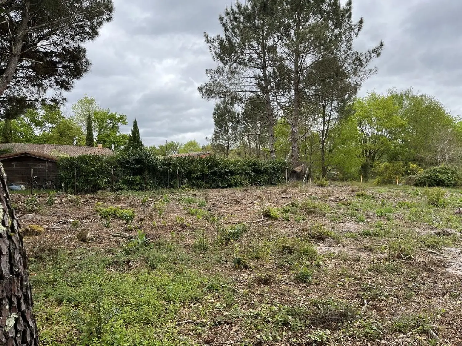  te koop terrein Balizac Gironde 1