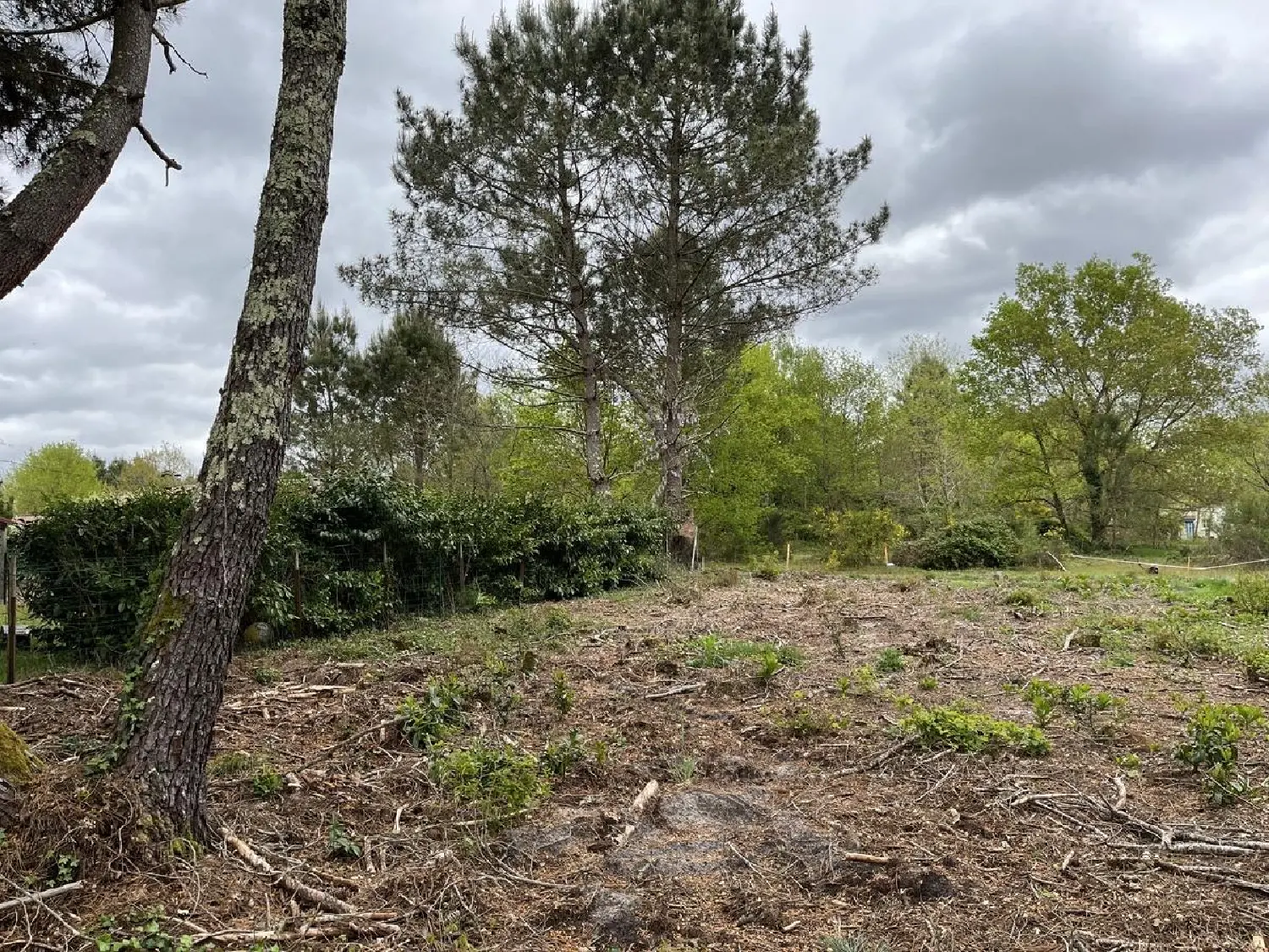  te koop terrein Balizac Gironde 2