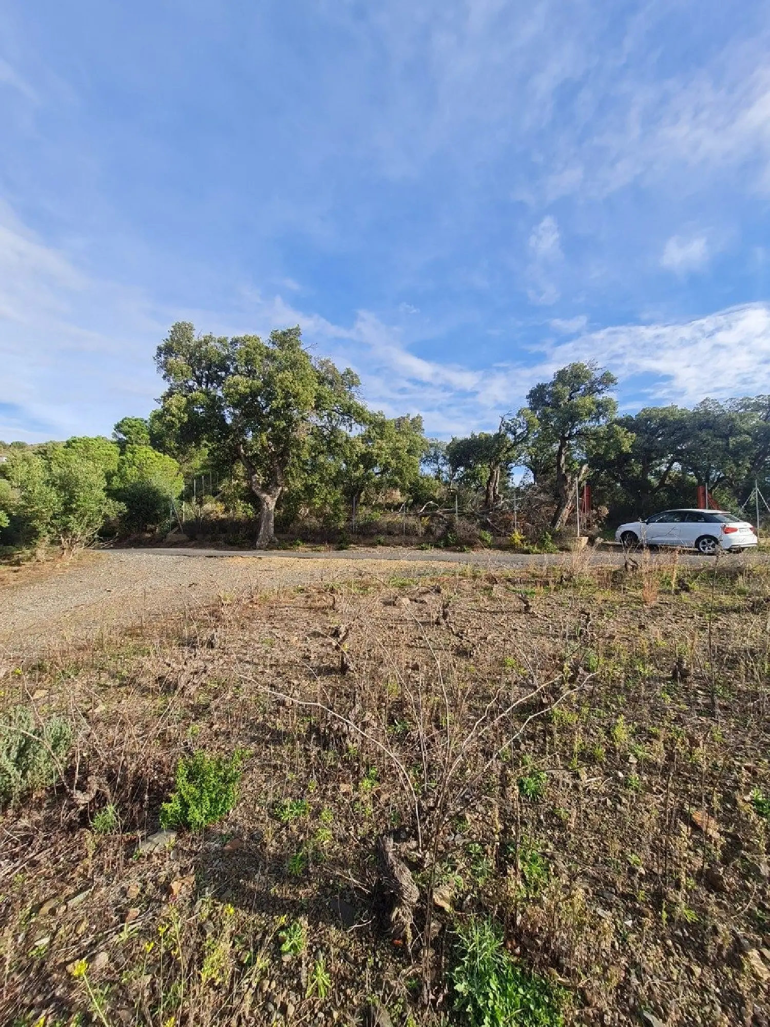  en venta terreno Banyuls-sur-Mer Pirineo Oriental 3