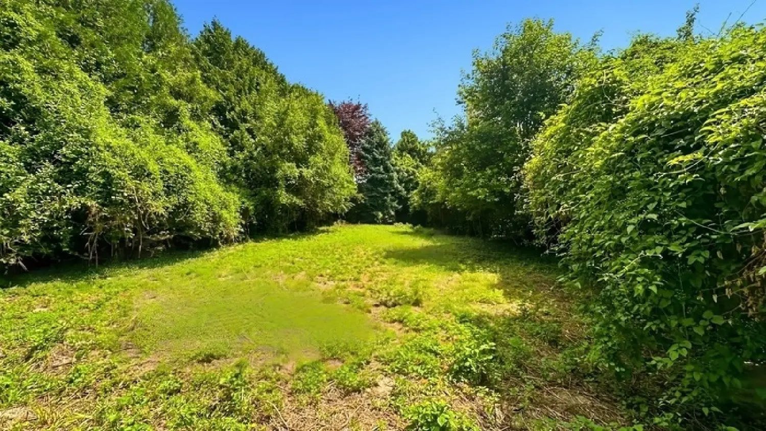  kaufen Grundstück Bétheniville Marne 2
