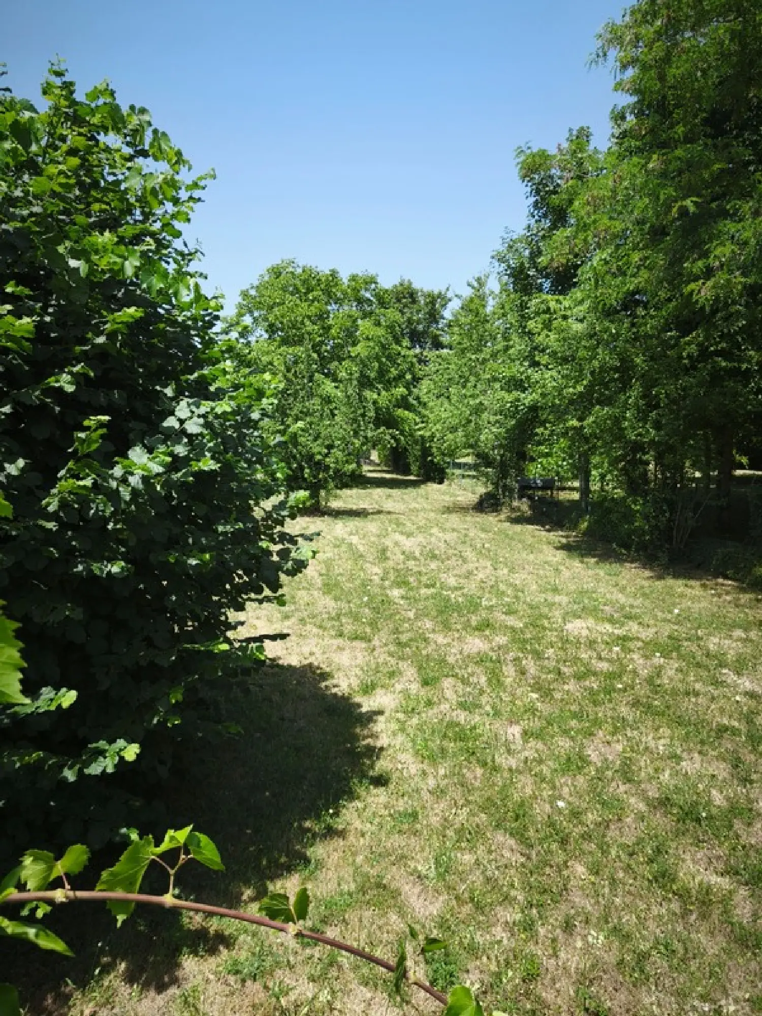 for sale terrain Bléneau Yonne 2