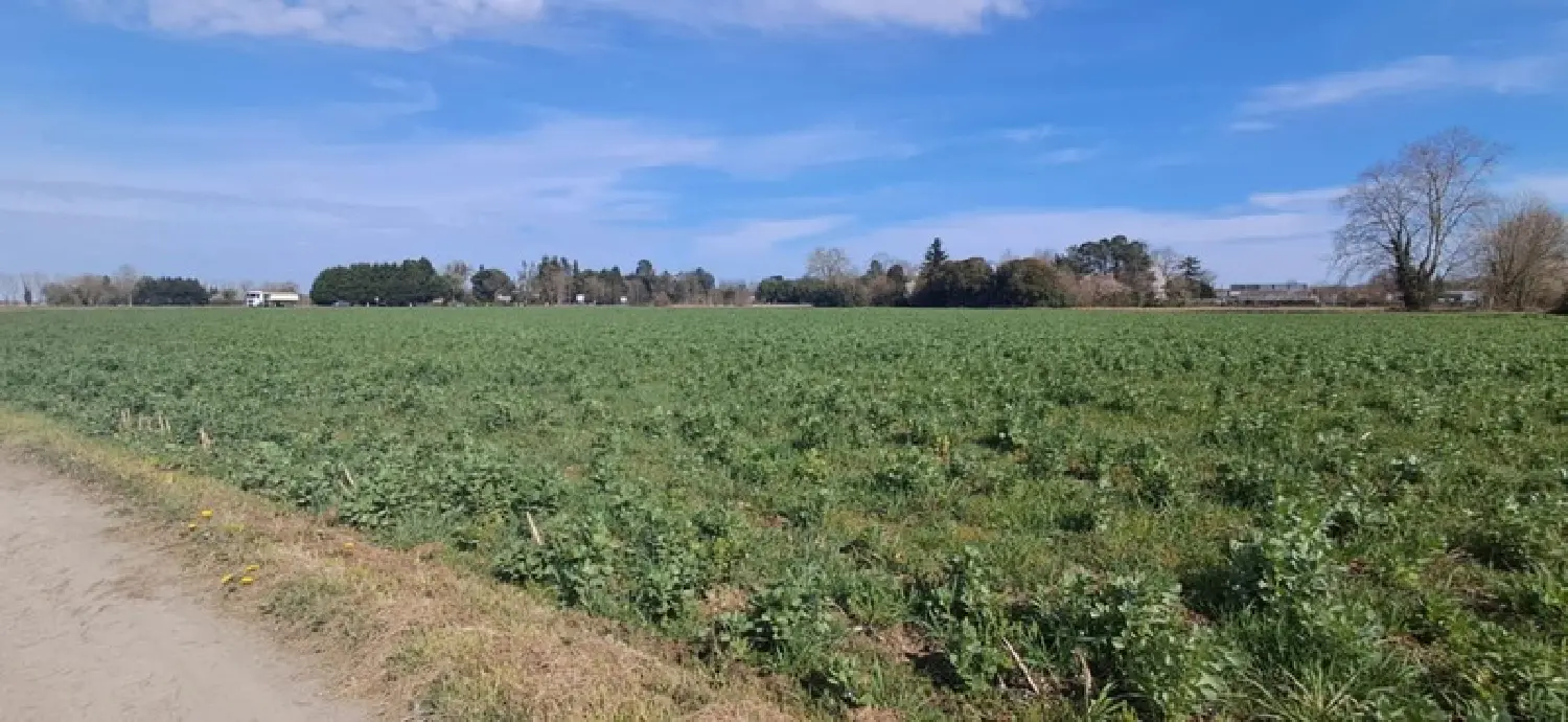  à vendre terrain Bordères-sur-l'Échez Hautes-Pyrénées 1