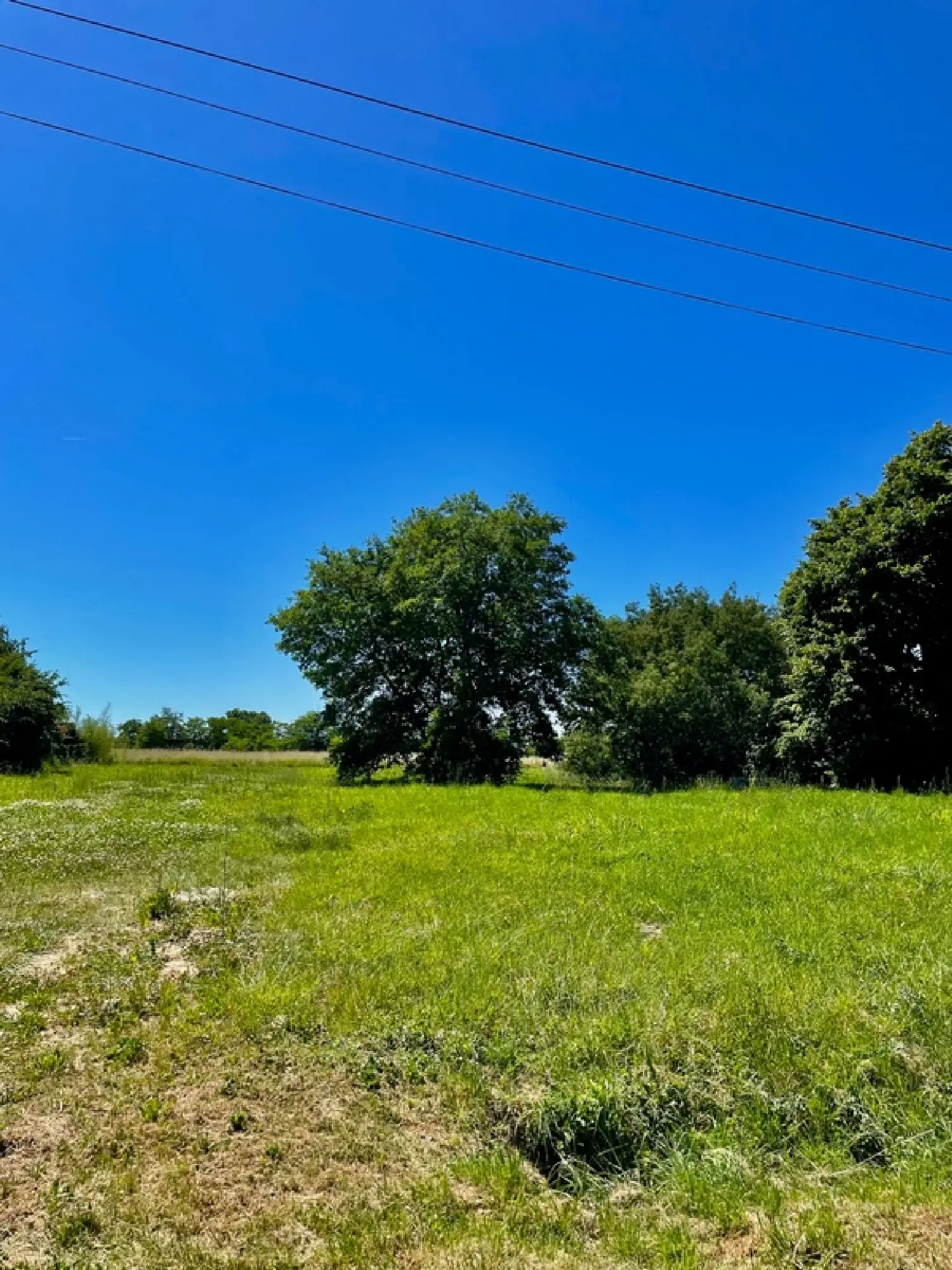  for sale terrain Bressols Tarn-et-Garonne 5