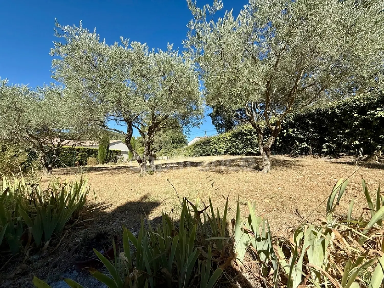  en venta terreno Cadenet Vaucluse 3