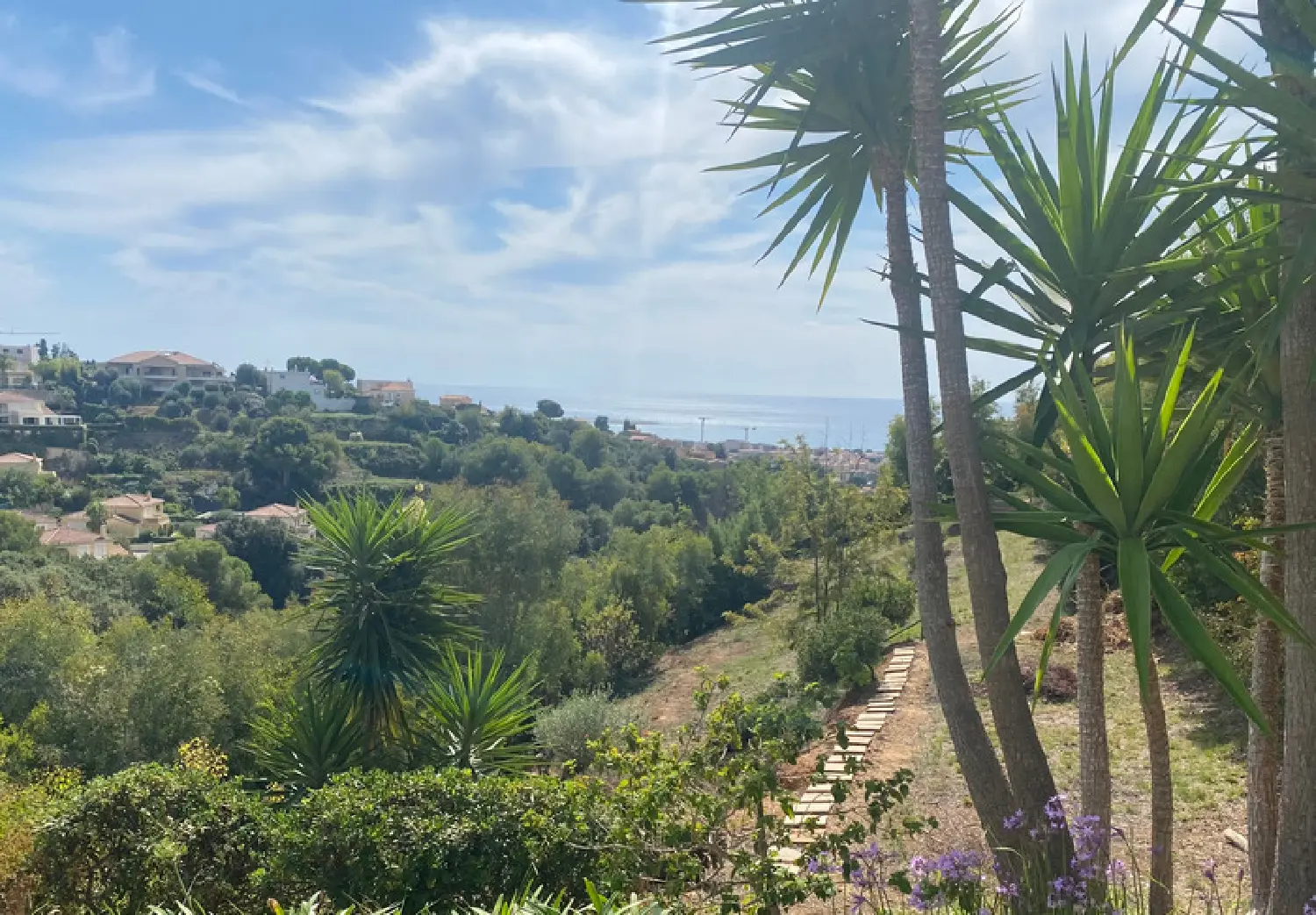  for sale terrain Cagnes-sur-Mer Alpes-Maritimes 3