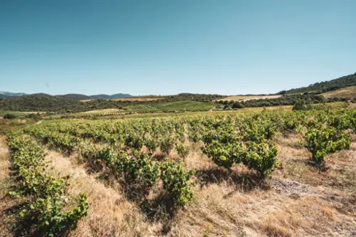 Cascastel-des-Corbières Aude terreno foto 7108643