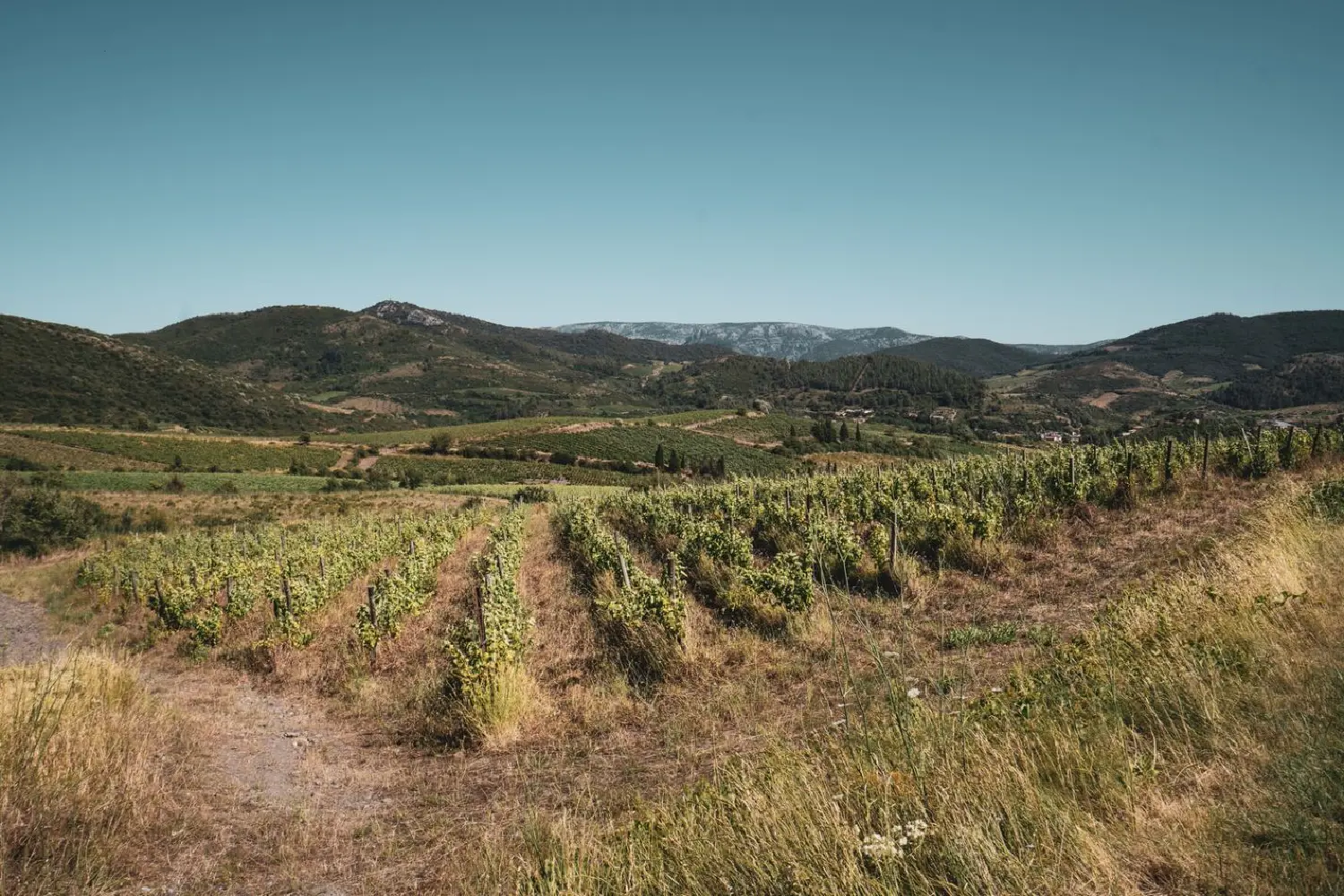 en venta terreno Cascastel-des-Corbières Aude 3