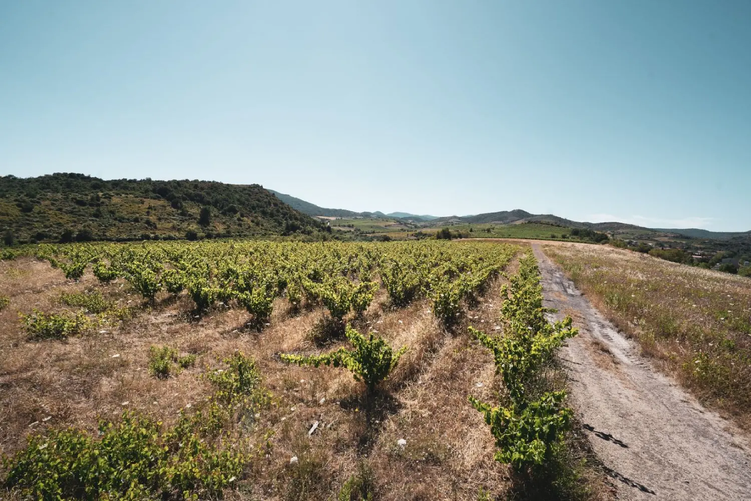  en venta terreno Cascastel-des-Corbières Aude 5