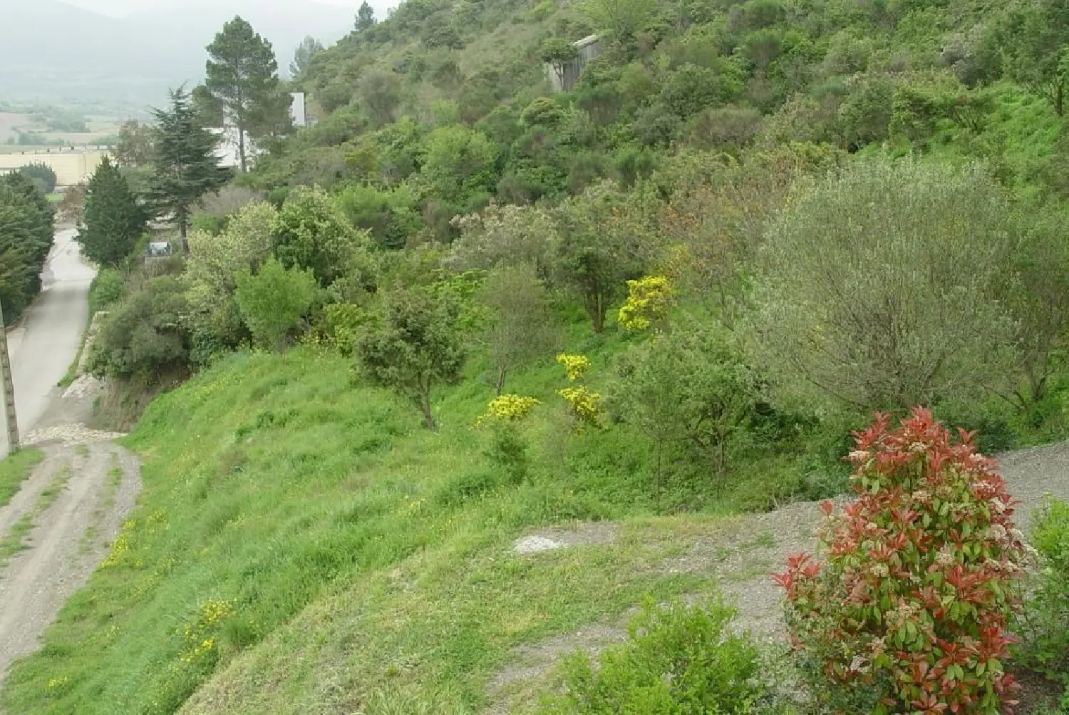  en venta terreno Cascastel-des-Corbières Aude 4