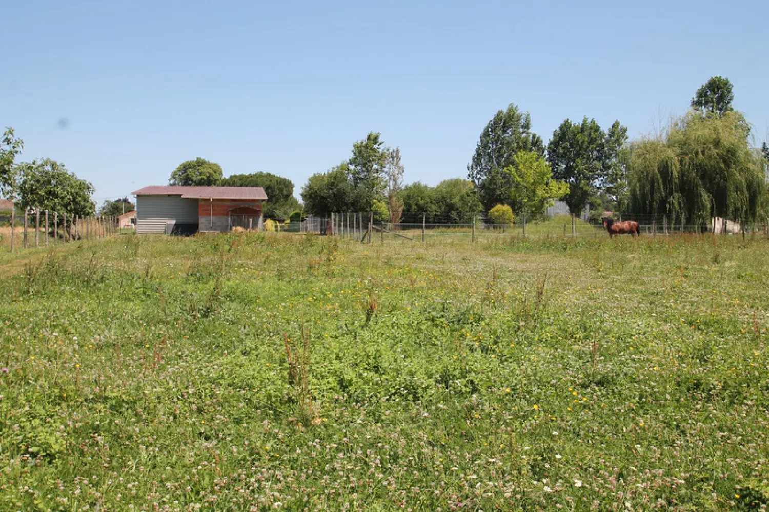  te koop terrein Casteljaloux Lot-et-Garonne 2