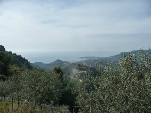 Castellar Alpes-Maritimes terrain foto 7104866
