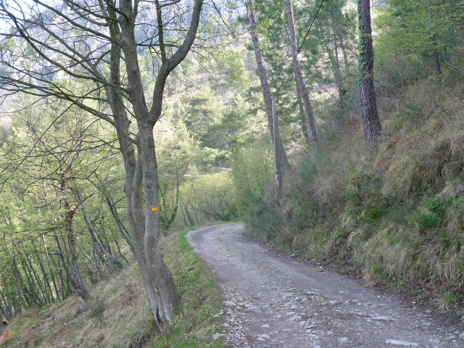  te koop terrein Castellar Alpes-Maritimes 2