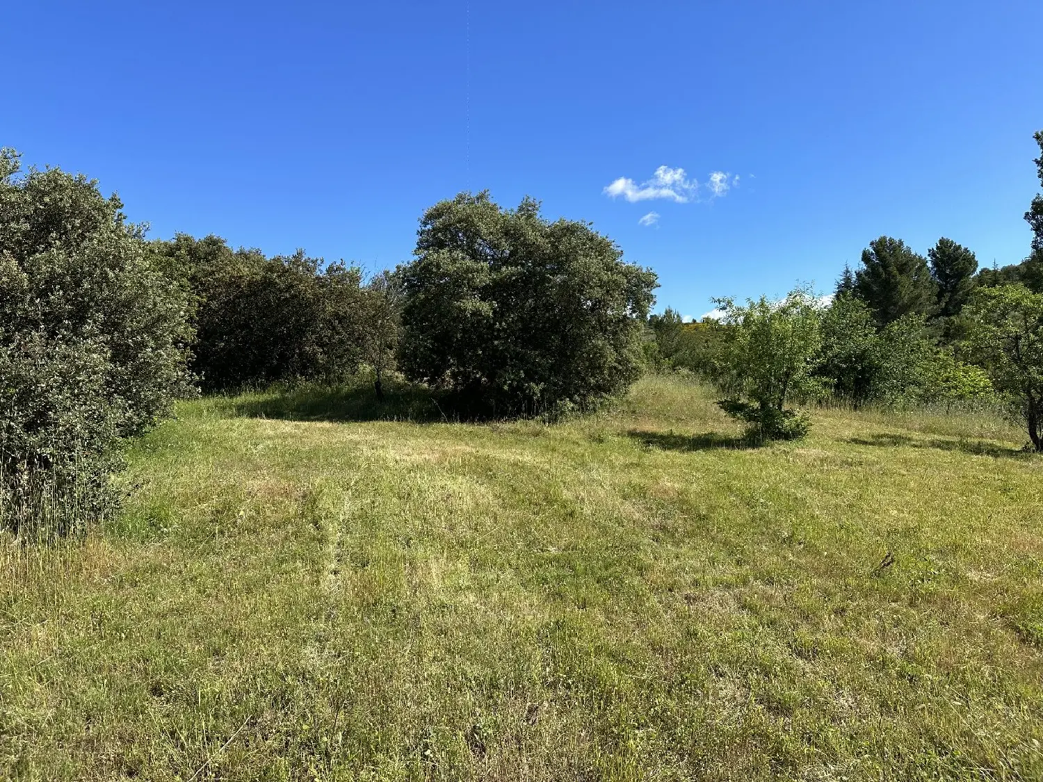  for sale terrain Caunes-Minervois Aude 6