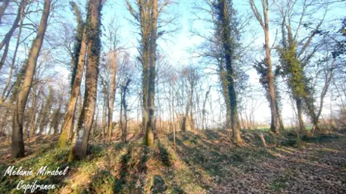 Chanteloup Eure terrain foto 7115366