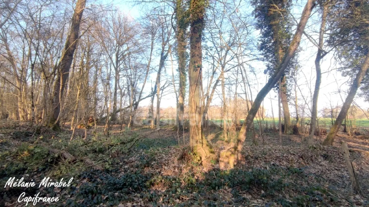  for sale terrain Chanteloup Eure 2