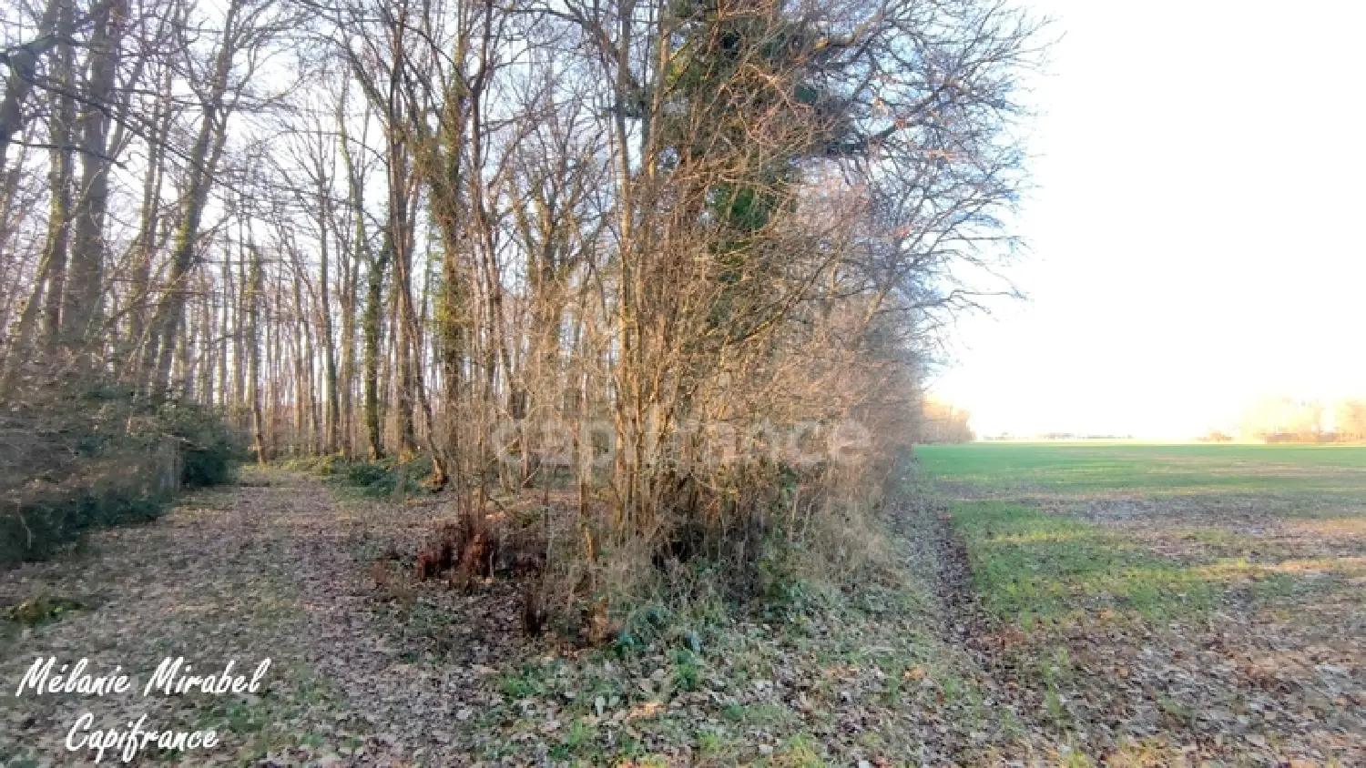  for sale terrain Chanteloup Eure 3