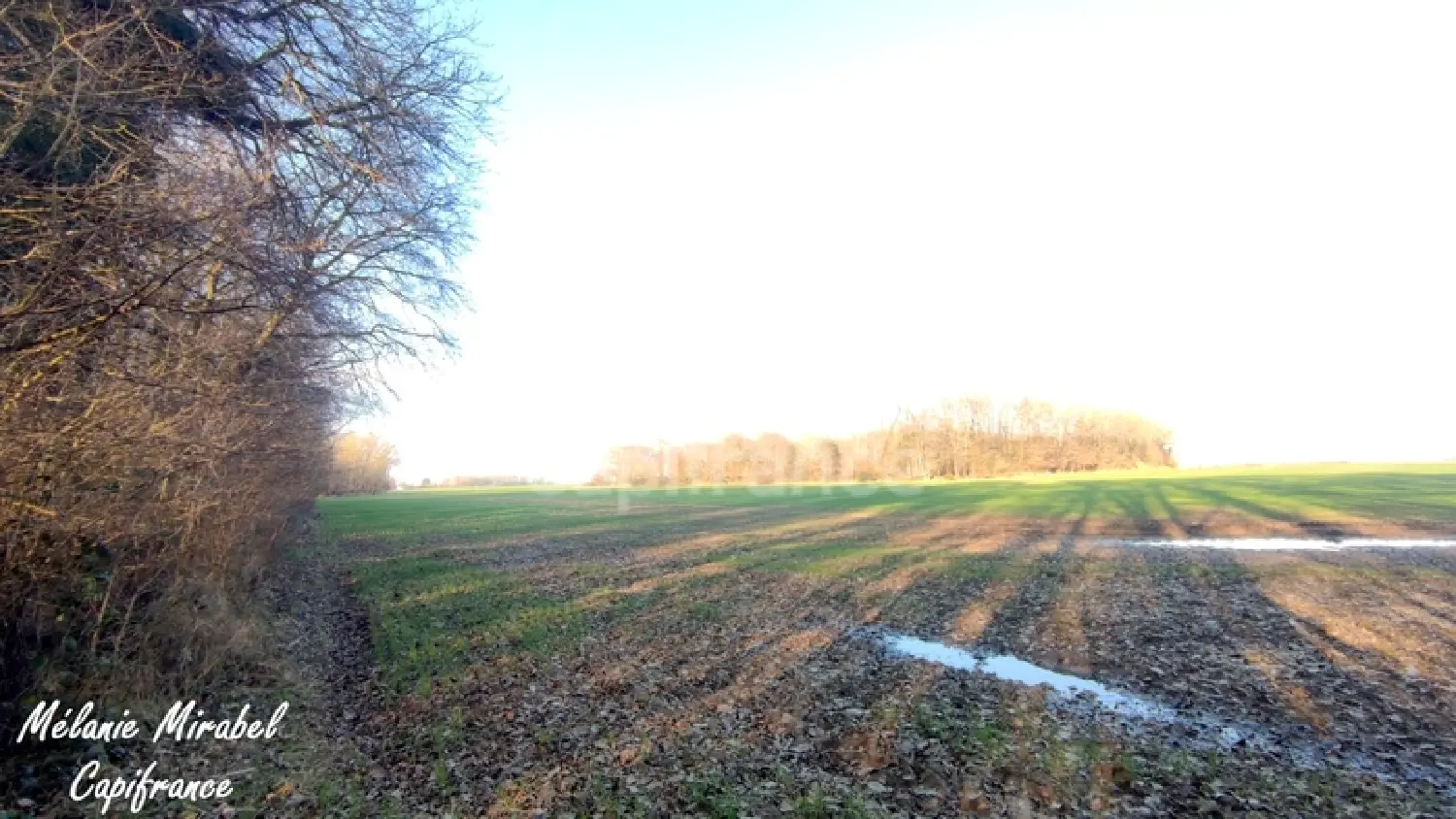  for sale terrain Chanteloup Eure 4