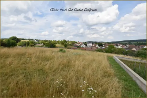 Châtenois-les-Forges Territoire de Belfort terrain foto 7115590