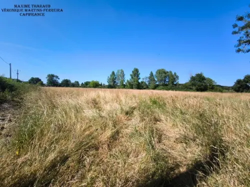 Châtres-sur-Cher Loir-et-Cher Grundstück Bild 7110481