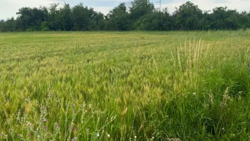 Chatuzange-le-Goubet Drôme Grundstück Bild 7105473