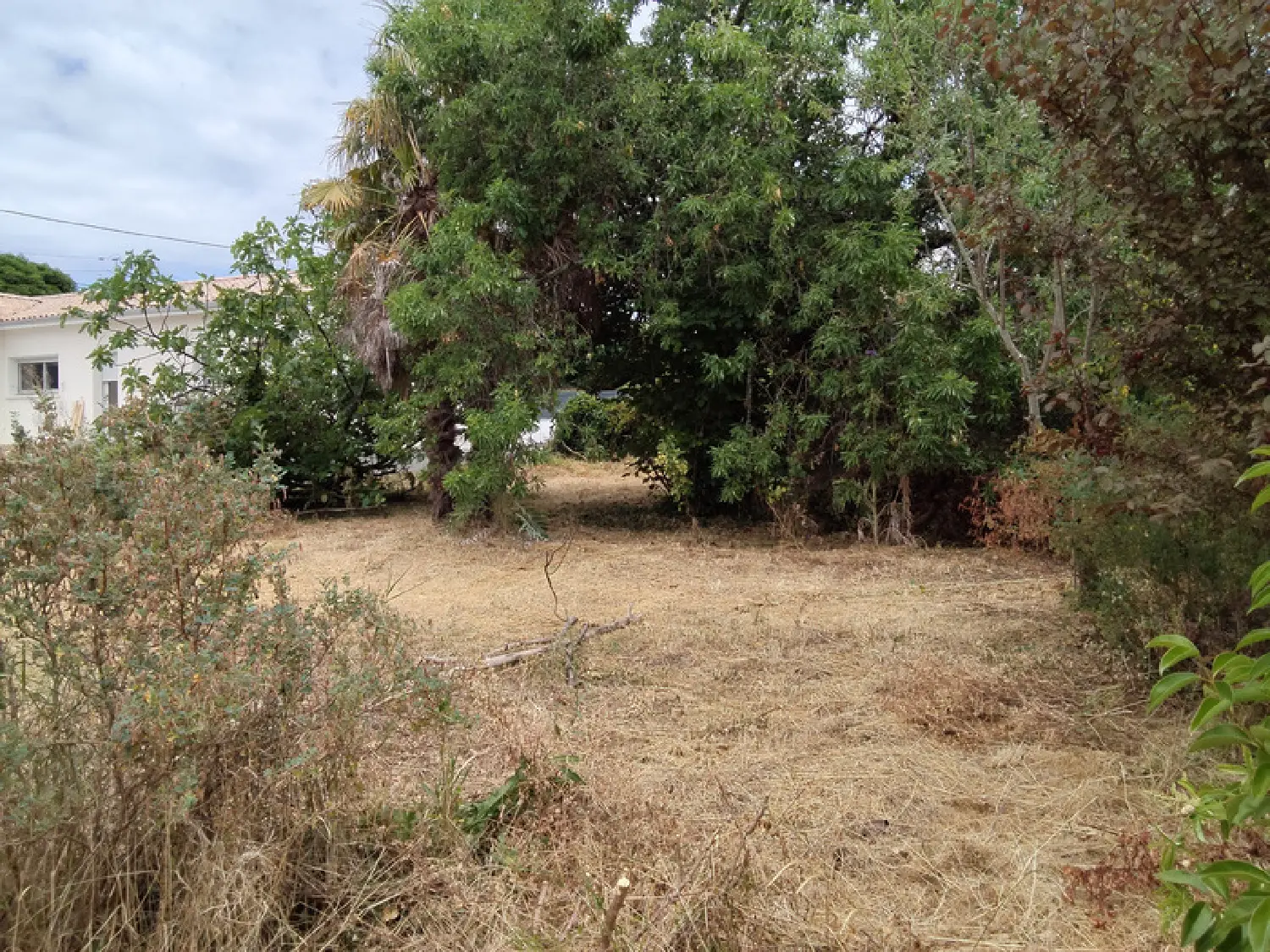  à vendre terrain Cognac Charente 1
