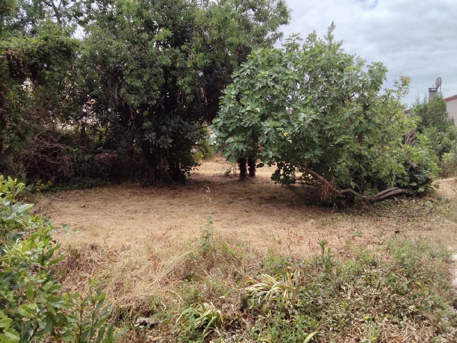  à vendre terrain Cognac Charente 2